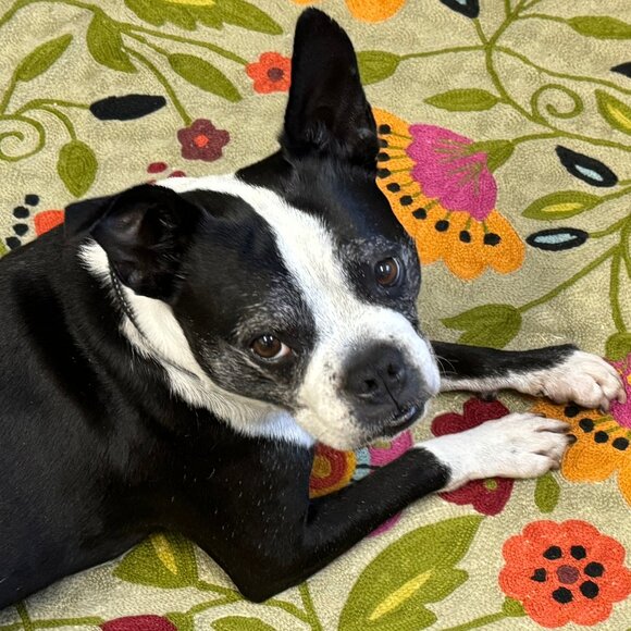 Meet your Posher, Erika - Picture 2 of 2